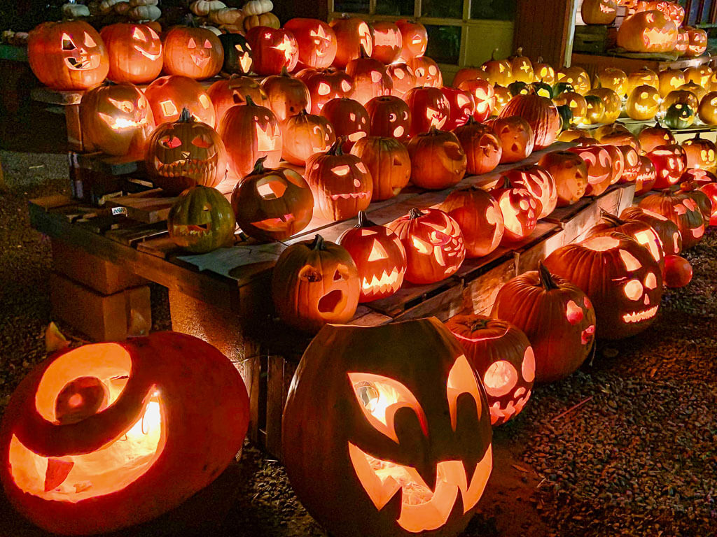 Halloween Activities For Kids In The Washington DC Area - Skylar Aria’s ...