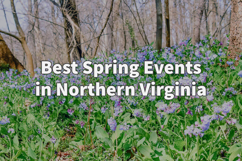 Best Spring Events In Northern Virginia